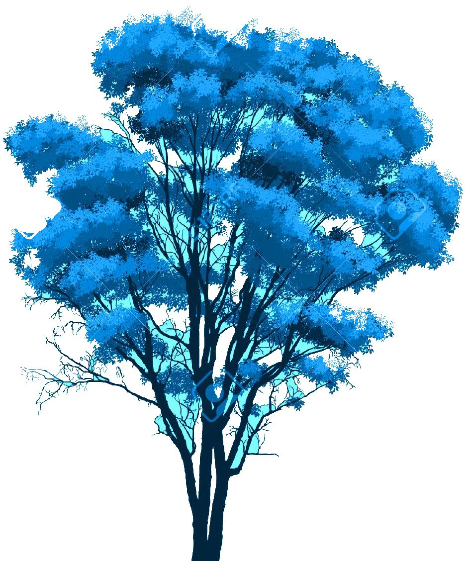 Mungar Blue Gum Tree House